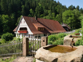 Appartement Im Hof, 36qm
